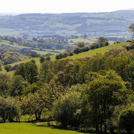 The Shire Luxury Converted Horse Lorry With Private Hot Tub Cyfie Farm Llanfyllin Экстерьер фото